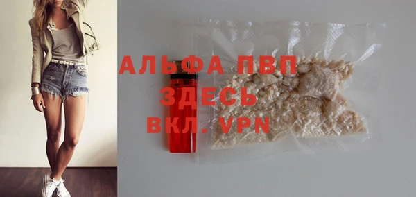 гашик Баксан