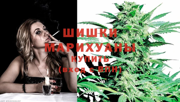 шишки Балабаново