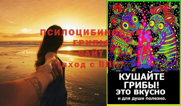 шишки Балабаново