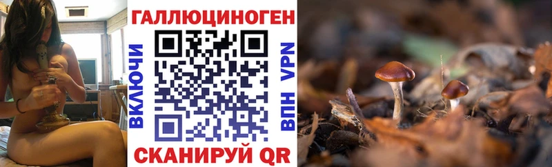 Псилоцибиновые грибы Psilocybe  купить наркотик  Выборг 